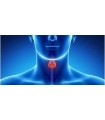 Thyroid